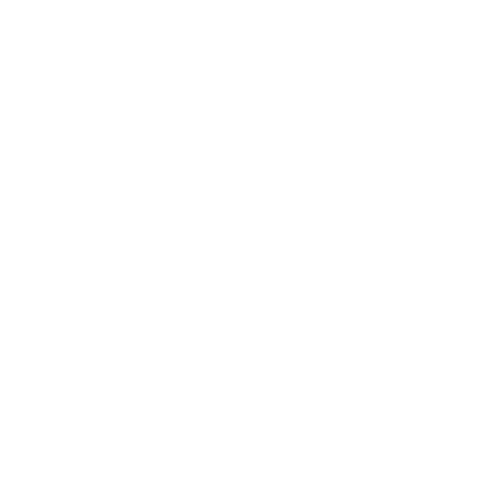 company-icon